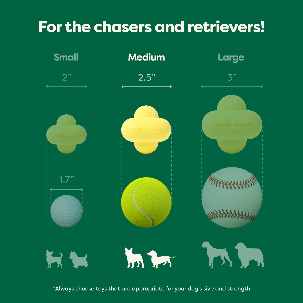 Earth Rated Fetch Toy - Rubber