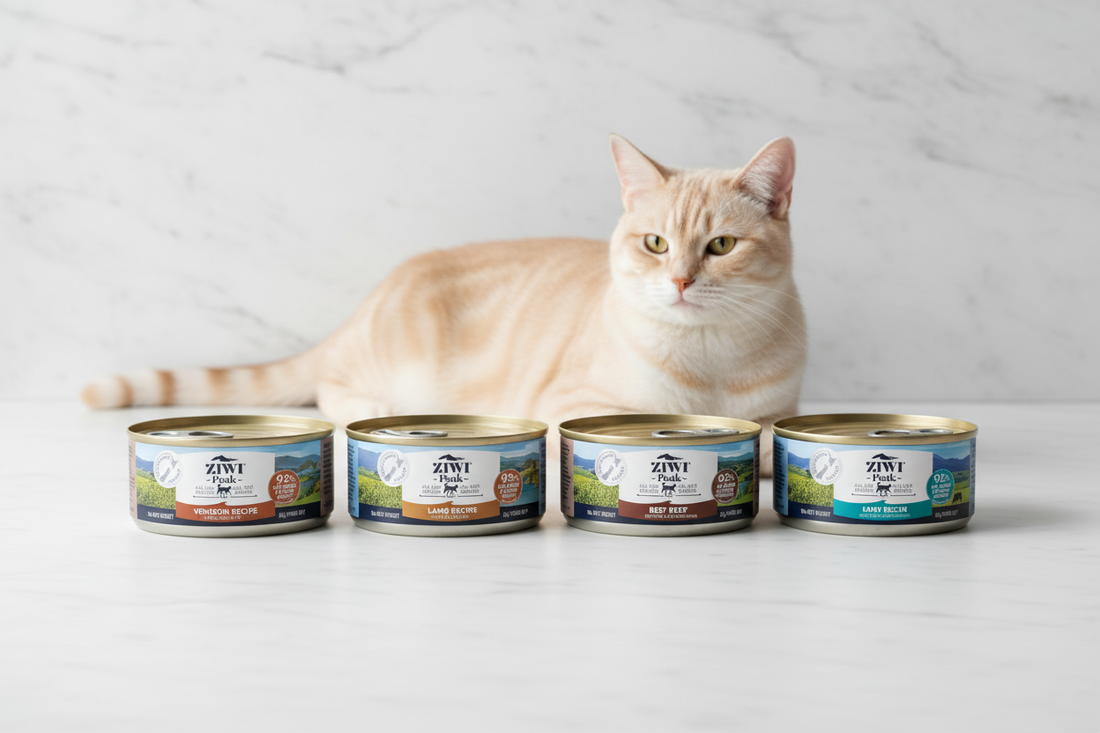 Best Wet Cat Food Australia (2026 Guide) – Top Picks, High Protein & Value Options