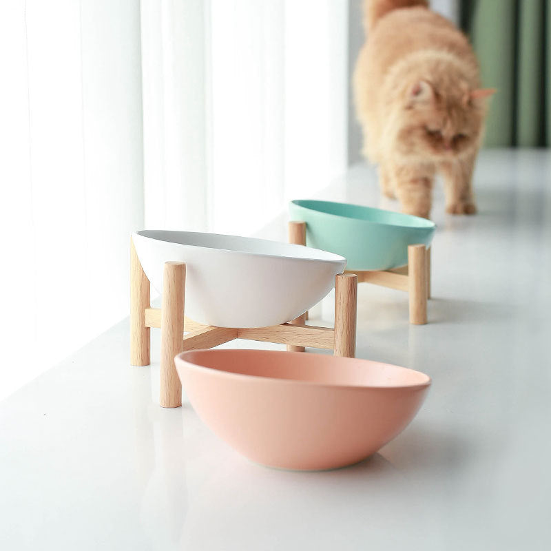 Ergonomic Angled Cat Bowl