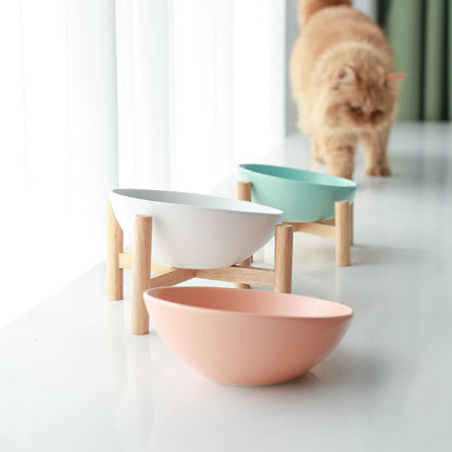 Ergonomic Angled Cat Bowl