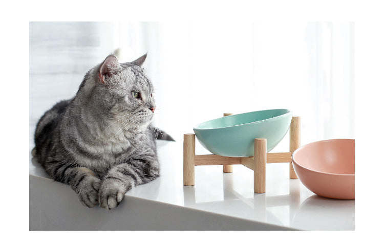 Ergonomic Angled Cat Bowl
