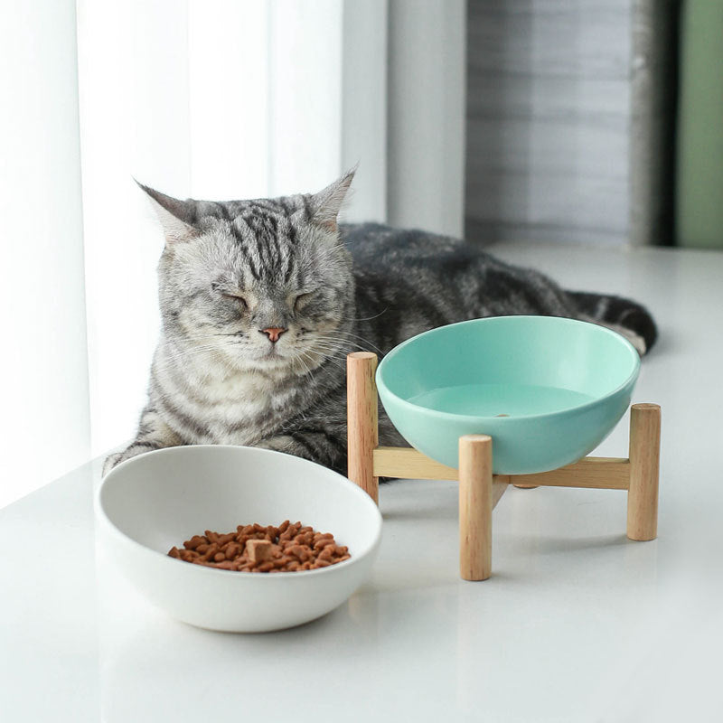 Ergonomic Angled Cat Bowl