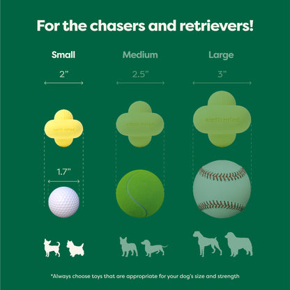 Earth Rated Fetch Toy - Rubber