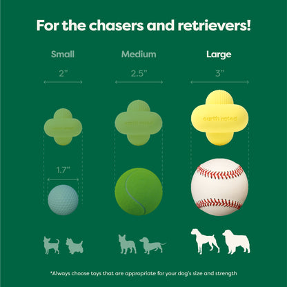 Earth Rated Fetch Toy - Rubber