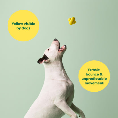 Earth Rated Fetch Toy - Rubber