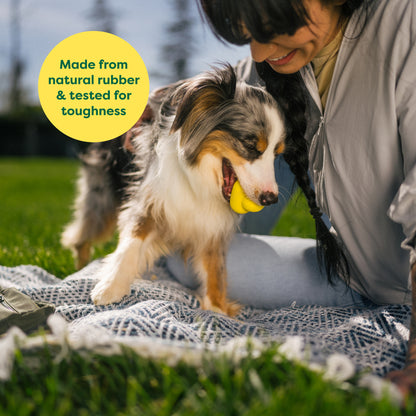 Earth Rated Fetch Toy - Rubber