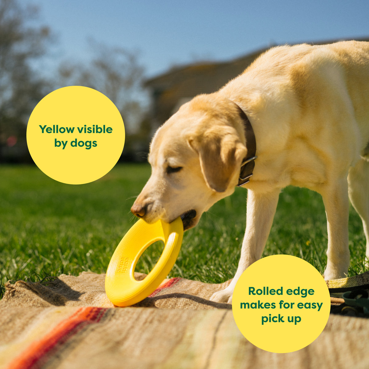Earth Rated Flyer Toy - TPE
