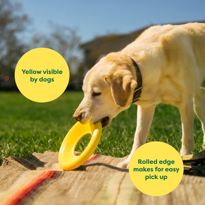 Earth Rated Flyer Toy - TPE