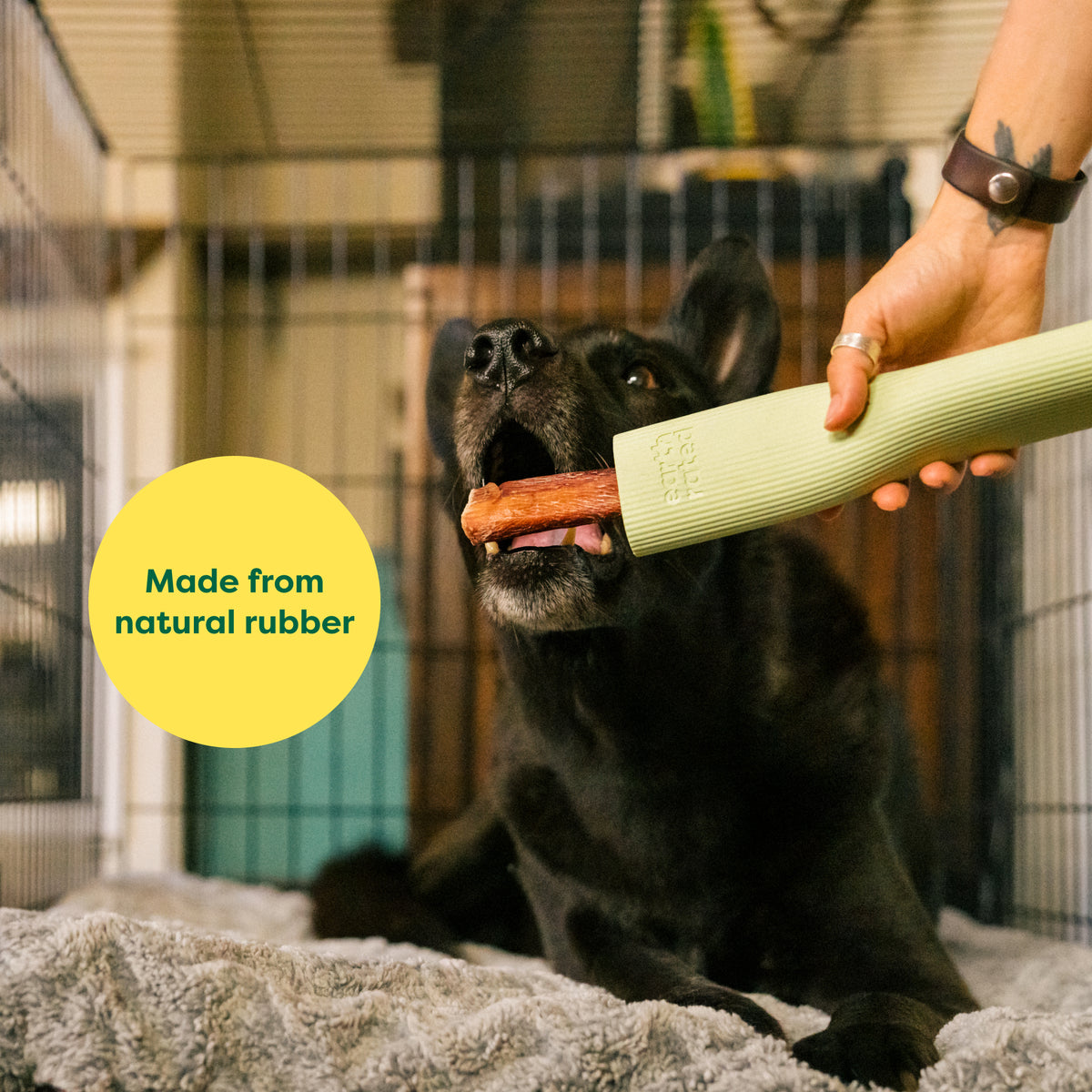 Earth Rated Chew Toy - Rubber