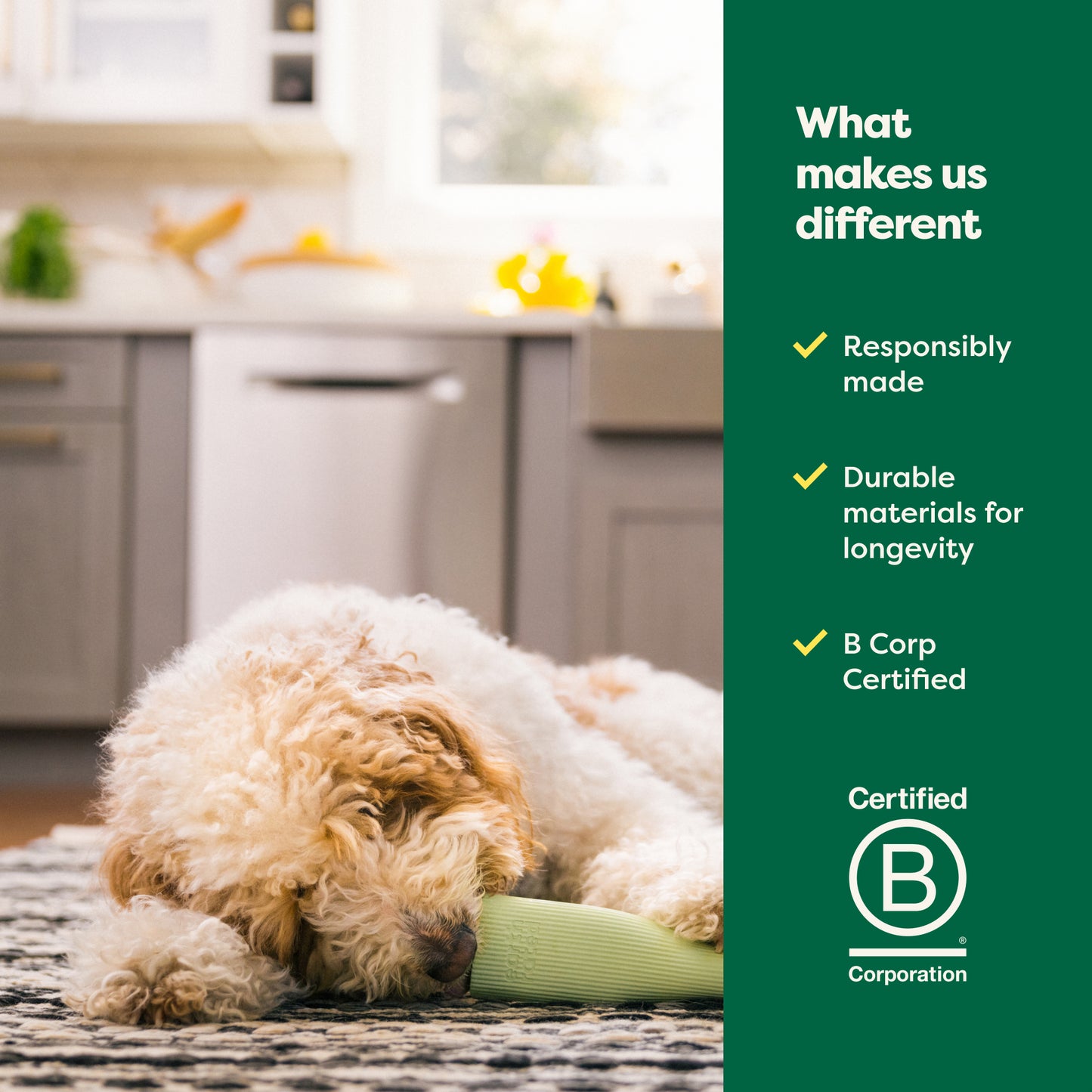 Earth Rated Chew Toy - Rubber
