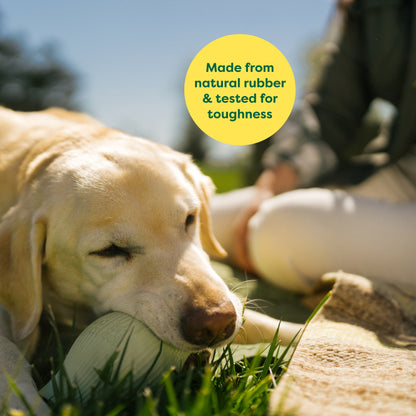 Earth Rated Treat Toy - Rubber